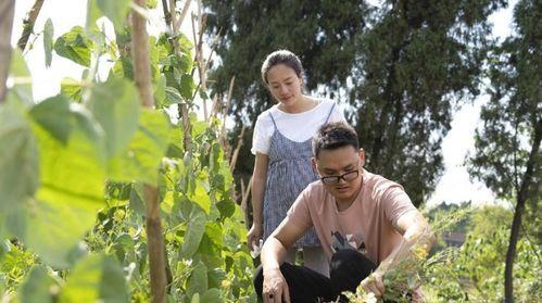 川乡小妹儿的爆料视频,一窥乡村生活百态 第3张 川乡小妹儿的爆料视频,一窥乡村生活百态 第3张