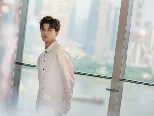 邢菲任嘉伦爆料视频,揭秘娱乐圈幕后真相  第2张