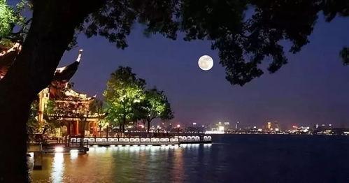 平湖秋月爆料最新消息新闻,最新热点新闻揭秘 第1张 平湖秋月爆料最新消息新闻,最新热点新闻揭秘 第1张